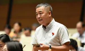 Đề xuất khảo sát nguồn gỗ tự nhiên dùng cho đồ nội thất Đề xuất khảo sát nguồn gỗ tự nhiên dùng cho đồ nội thất