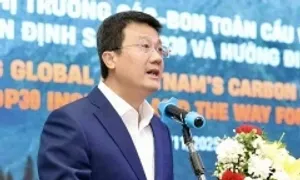'Việt Nam không chạy theo tín chỉ carbon giá rẻ'
